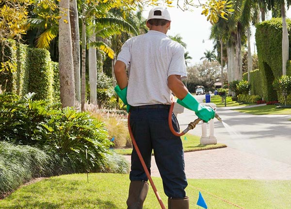 About Scenic SD Pest Control